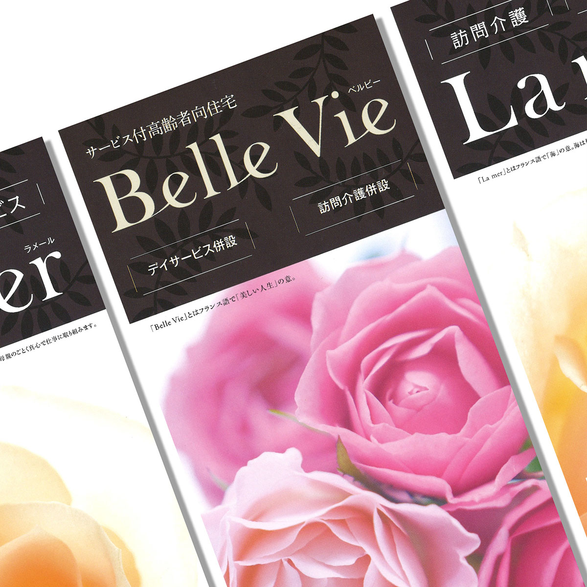 サービス付き高齢者向け住宅 Belle Vie リーフレット