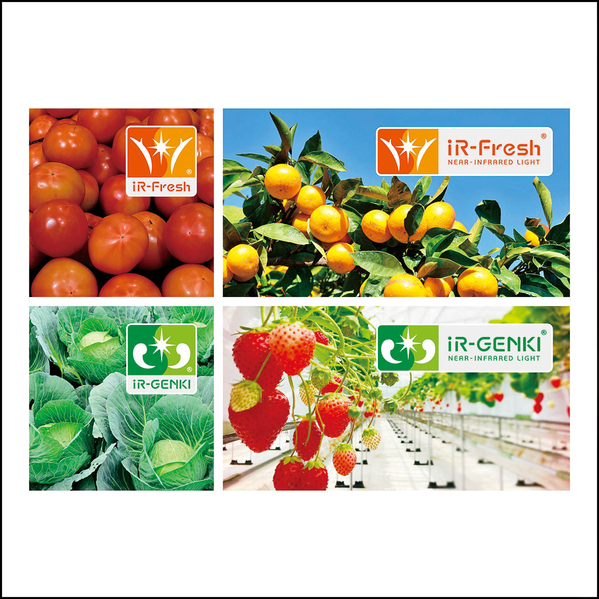 iR-Fresh  iR-GENKI ロゴマーク